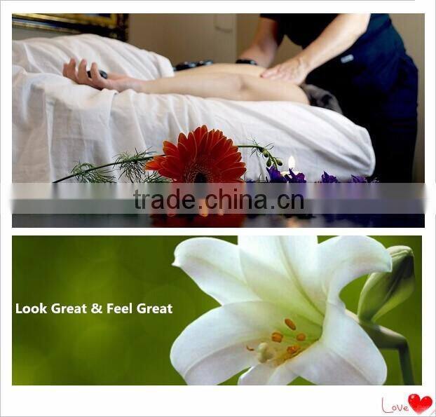 GTO Wholesale Custom Logo Derma Roller Skin Care Micro Needle Roller