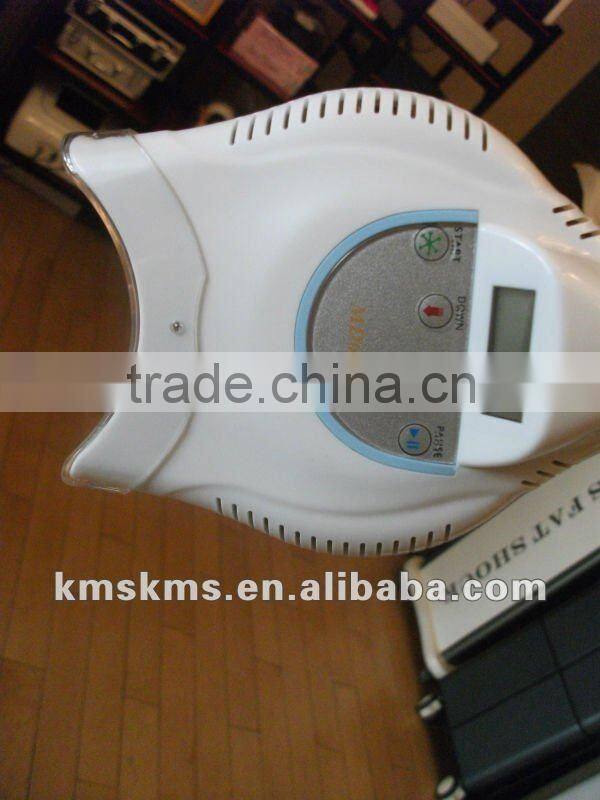 Dental bleaching teeth whitening machine