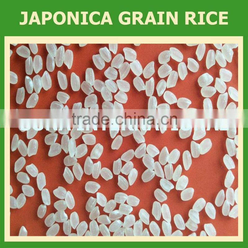 BEST JAPONICA ROUND RICE <5% BOKEN> - CHEAPEST PRICE_HIGH QUALITY - CURRENT RICE