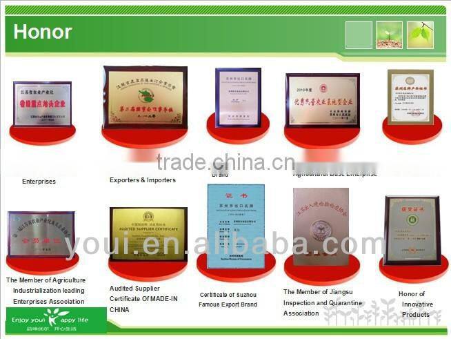 Strawberry Wasabi Flavor Green Peas Green Peas Manufacturer