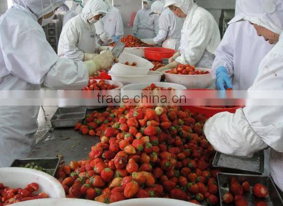 Frozen Strawberry best selling products