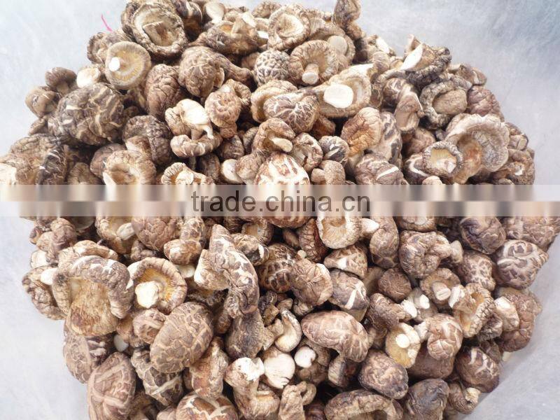 Dried whole Shiitake mushroom