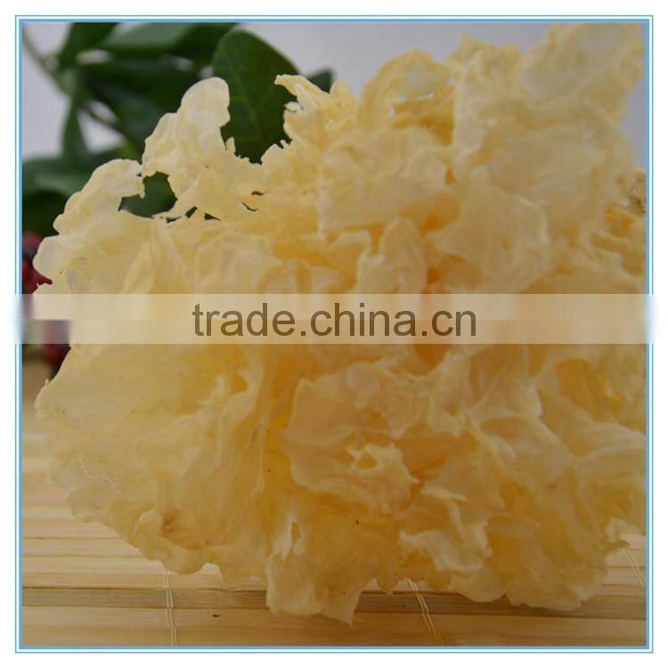 Chinese Snow Fungus Mushroom