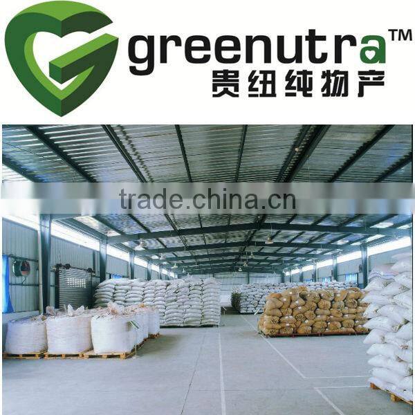 Tribulus Terrestris Powdered Extract