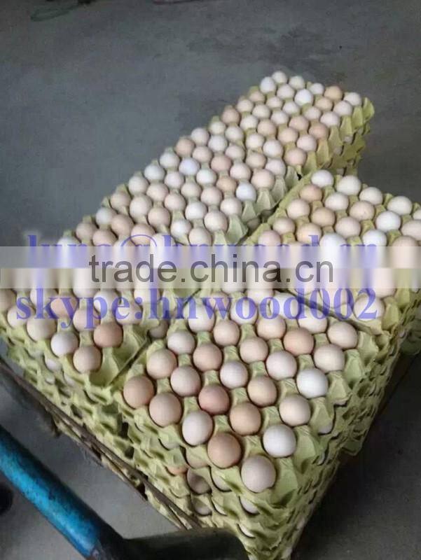 Best designed paper egg tray making machine with cheaper price 0086-13523059163