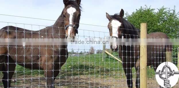 Hinge Joint Lowes Hog Wire Fencing/Fixed Knot Animal Fence/Square Deal Fencing V Mesh for Livestock