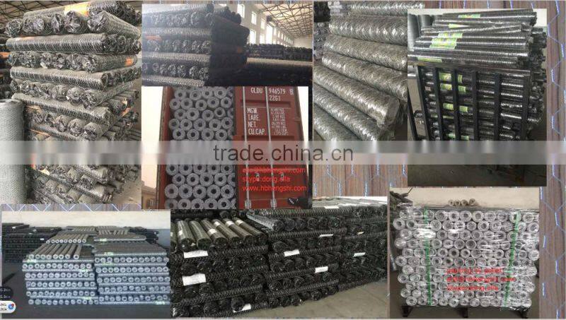 Hot selling galvanized hexagonal wire mesh with low price
