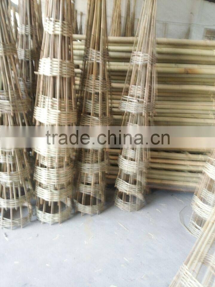 FD - 15629 cone type seedling auxiliary frame