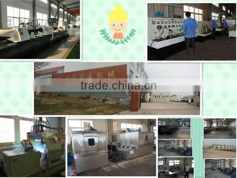 single acting plunger hydraulic ram for snow plow