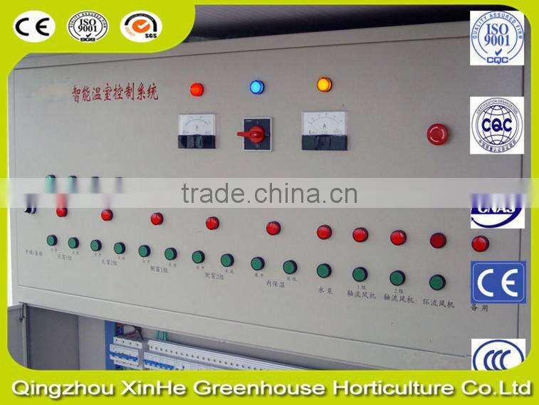 Glass sunlight greenhouse for vegetables