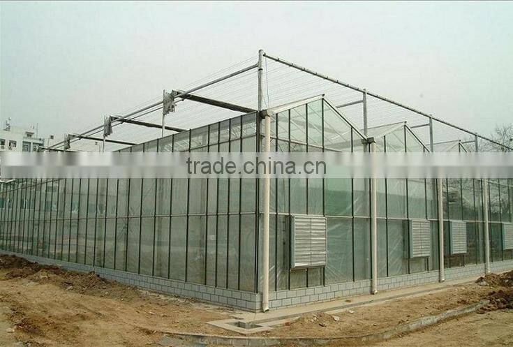 large multi-span Glass green house agriculture & commercial used greenhouse,modern greenhouse for agriculture farming and grow