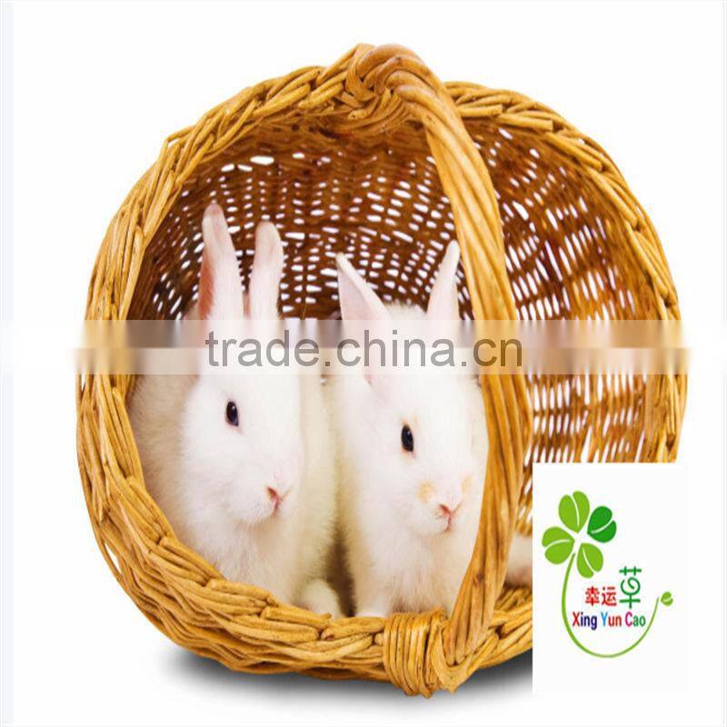 white wicker basket with handle