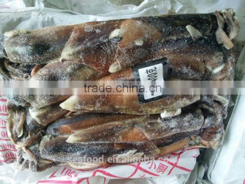 Frozen Illex Squid wholesale whole round squid FROZEN SEAFOOD