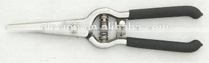 8" Fruit Picking scissors pruning shears