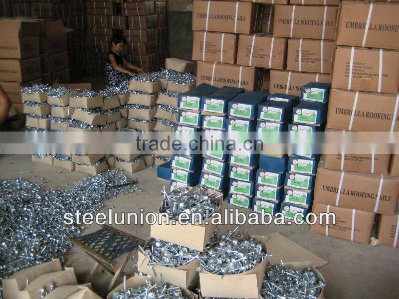 Twisted and plain shank roofing nails/linyi nails