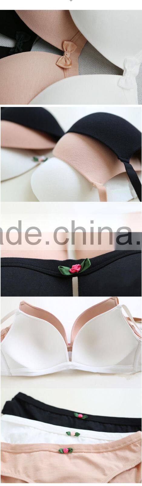 HSZ-5006 Wholesale Ladies Underwear Women Sexy Bra And Stylish Panty New Design Lingerie Sleepwear Manufacturers In China