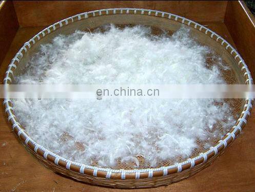 White Washed Down Feather