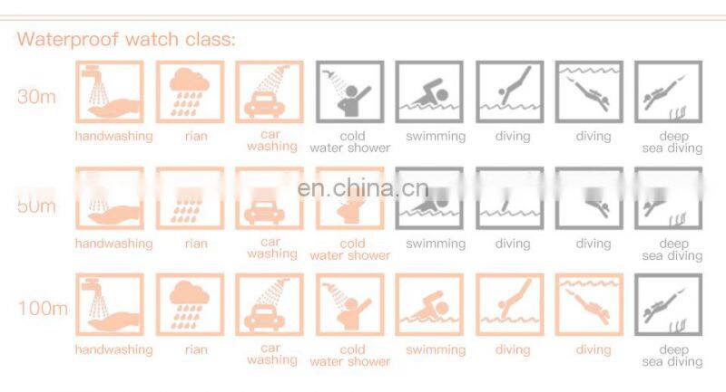 MINI FOCUS MF0031L Fashion Wristwatch Top Brand Luxury Women Watches Casual Quartz Waterproof Women Watch