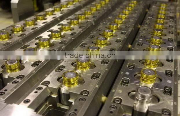 PET bottle blowing mould /water bottle mould /plastic bottle mold