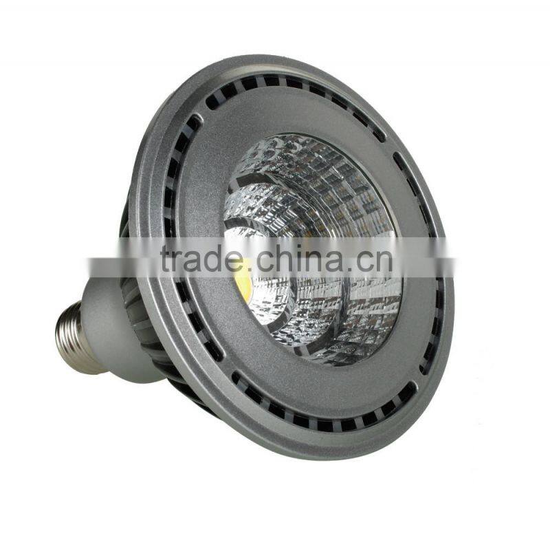 Professional OEM/ODM 9W 15W LED SPOT LIGHT Ceiling PAR30 PAR20 PAR38