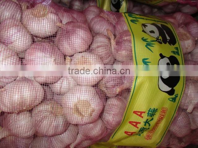 Jinxiang Garlic Normal White Fresh Garlic New Crop