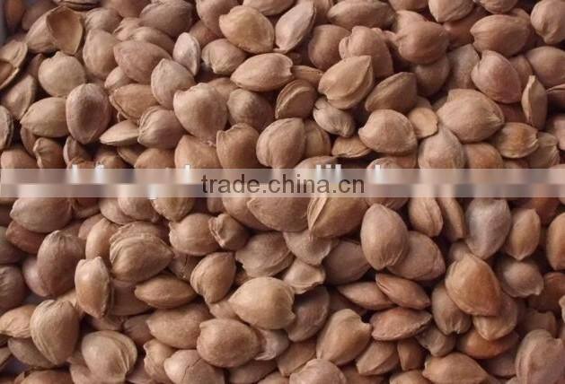 Peanuts Color Sorting