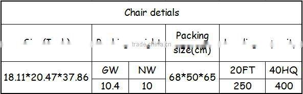 Portable acrylic banquet chair with strong frame