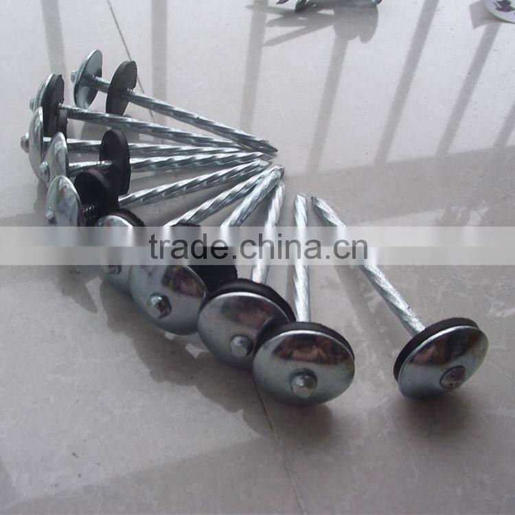 China zinc nails/large head nail with washer/Galvanized umbrella head roofing Nails