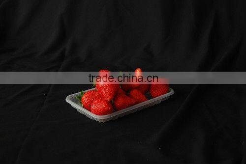 PP plastic fruit tray for supermarket/strawberry , beer pong cup