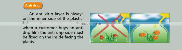 high quality factory produced strawberry greenhouse film/plastic thin film/blow molding film
