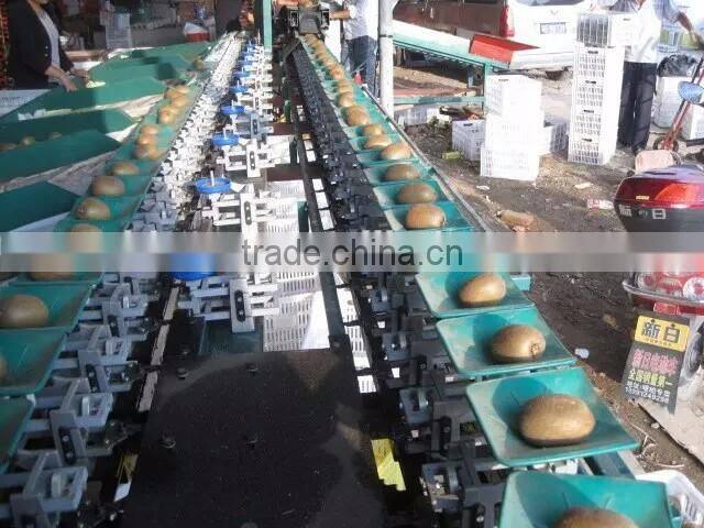 if !supportLin![persian limes Sorter machine