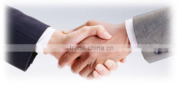 Attractive /graceful car led light for SL-G5015L-50CM/100CM