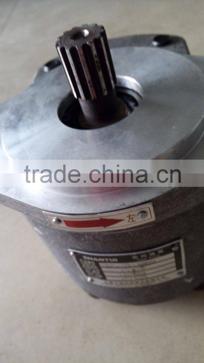 Diesel Fuel and Water Usage 12v water pump