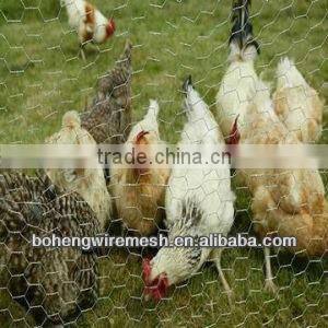 Hot sale hexagonal wire mesh for poultry fence