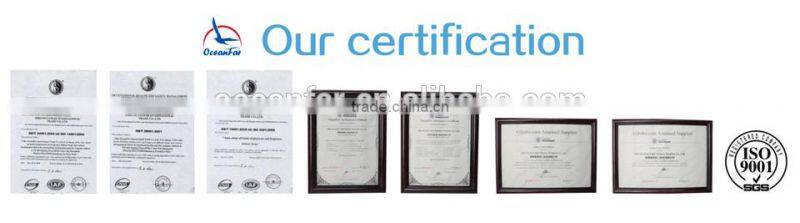 Fresh Lemon Carving Exquisite Glass Drink Set