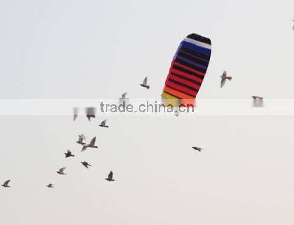 Dual Line Power Kite for Promotion
