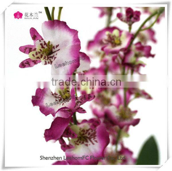 orchid flower plants wholesale phalaenopsis orchid plant