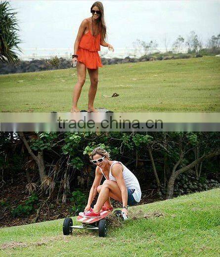 Electric skateboard aport skateboard skateboard