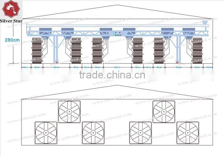 High Quality Al-Zn Steel Material Baby Layer Cage For Uzbekistan Chicken Farm