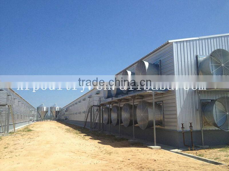 Chicken poultry layer farming equipment