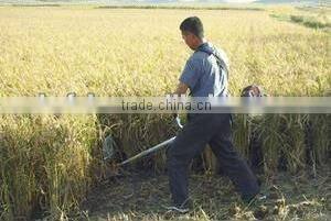 mini rice cutting machine