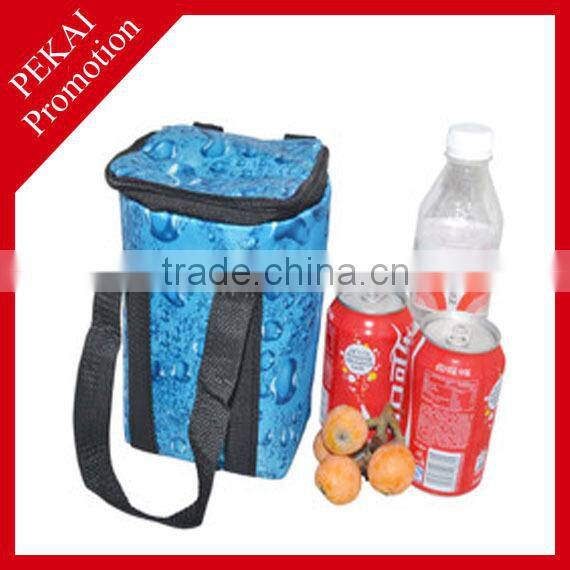 Popular design blue with all over printing cooler bag for picnic