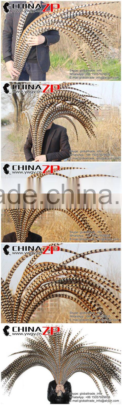 No.1 Supplier ZPDECOR Best Selling Cheap Large Natural 140-150cm Length Super Large Reeves Venery Pheasant Tail Feathers