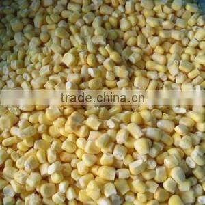 NEW FROZEN WHOLE KERNEL CORN JINFEI SWEET CORN