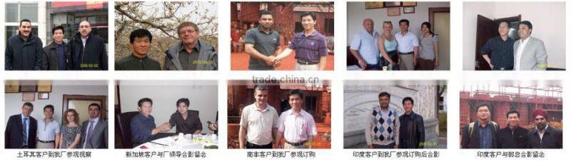 paint pigments iron oxide