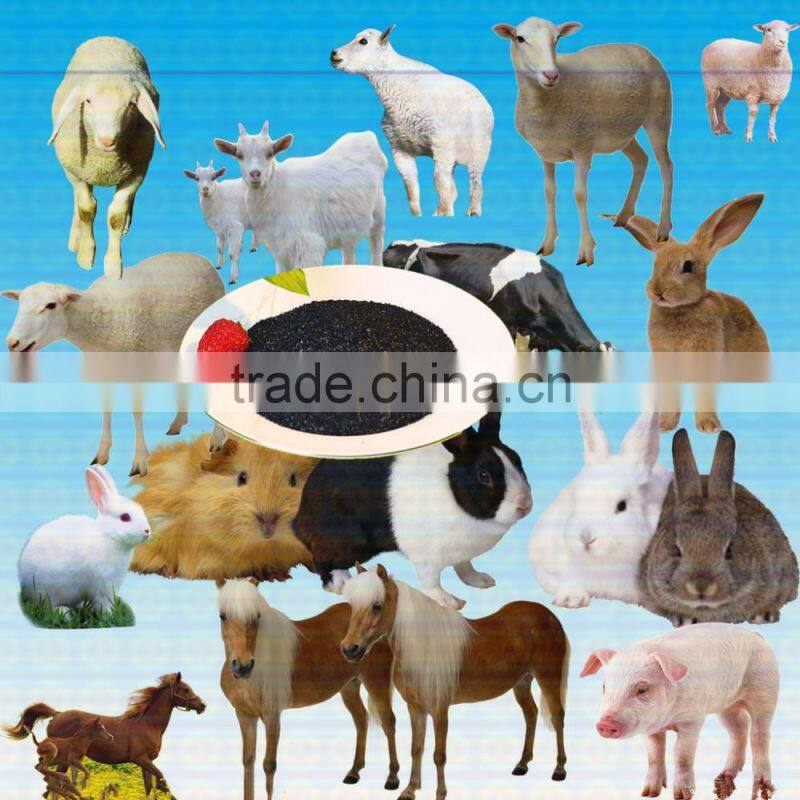 High Quality Sodium Humate Fine Powder For Vegetable or plants and animals