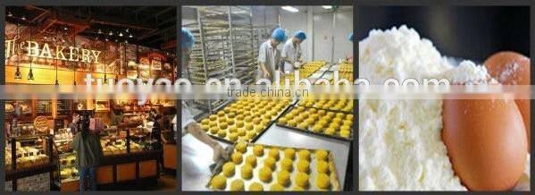Big capacity Stainless steel Egg Processing Machines made in China