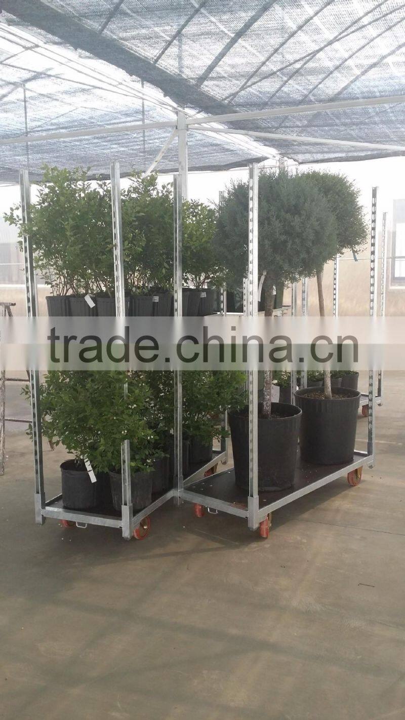 hot sale outdoor wooden flower display cart