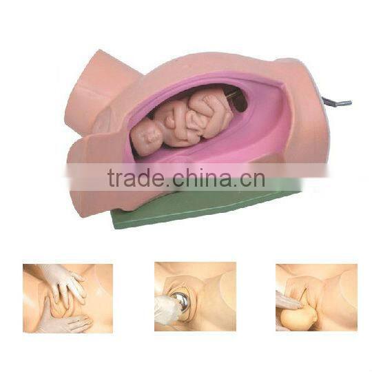 Gynecological Baby Delivery Simulator