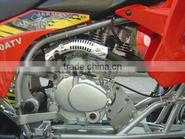 Gas-Powered 4-Stroke Engine Quads Bike with Double Cylinder EngineWZAT2505